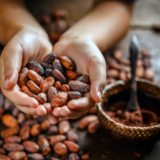 cacao-superfood-organic