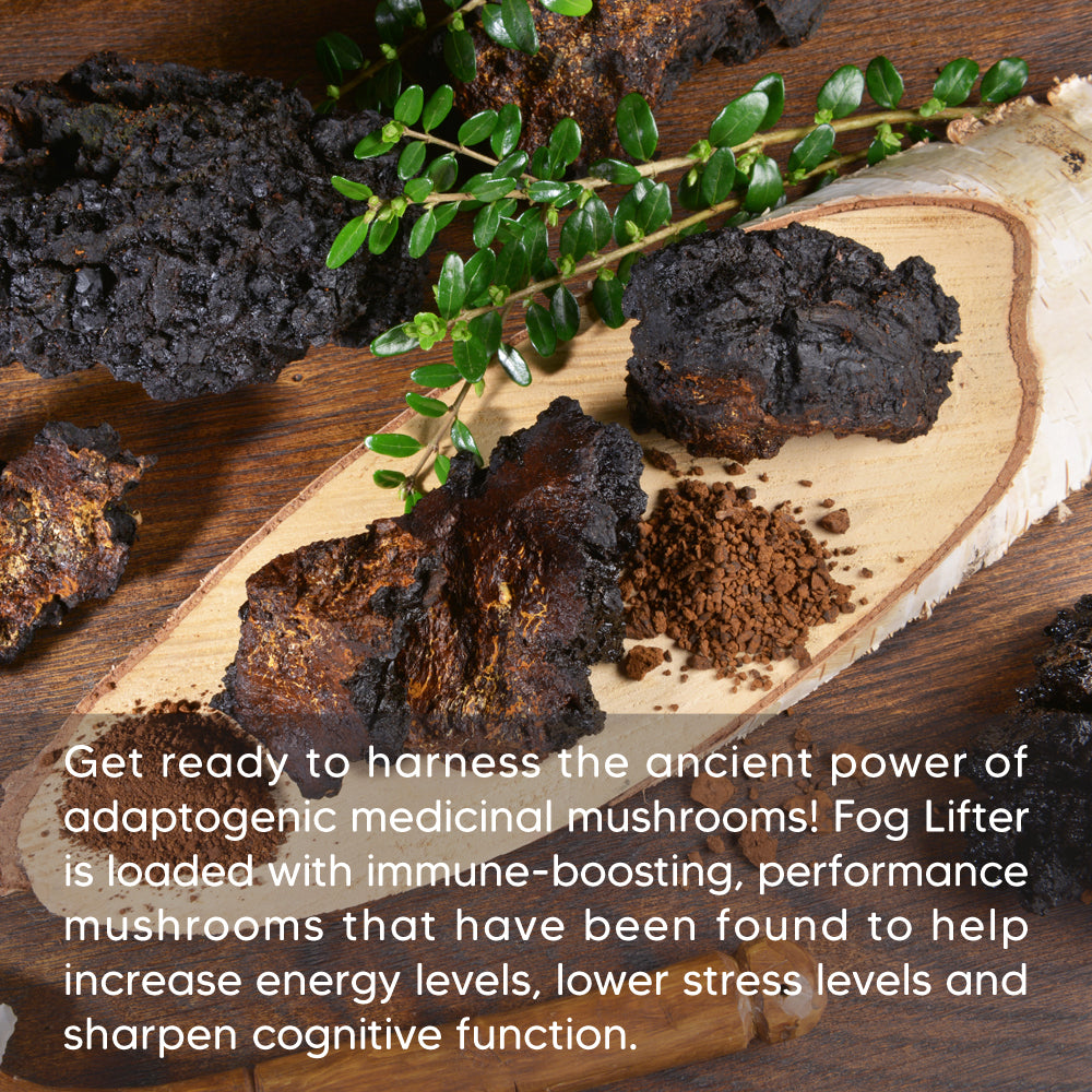 FOG LIFTER SUPERFOOD PLANT-BASED CREAMER WITH FUNCTIONAL MUSHROOMS
